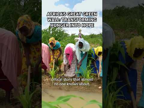 Africa’s Great Green Wall: Transforming Hunger into Hope