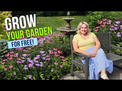 12 Flowers That Multiply Themselves! | Perennials that Self Seed to Grow Your Garden Easy & Free.