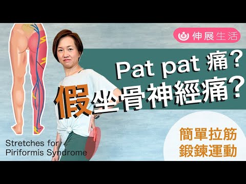 坐骨神經痛有真, 假? 臀部"Pat pat"痛,拉扯至大腿,小腿 !你可能有 梨狀肌綜合症! 教拉筋舒緩和鍛鍊肌力擺脫.中文字幕/Eng sub.[伸展生活][Alison]