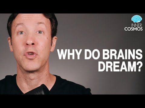Why do brains dream? | Inner Cosmos with David Eagleman