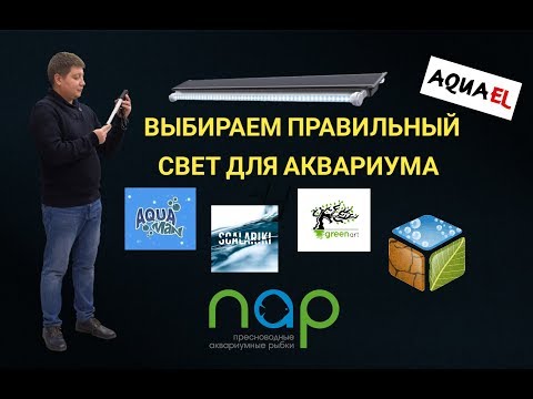 Выбираем правильный свет для аквариума.
