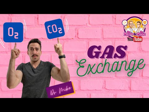 Gas Exchange