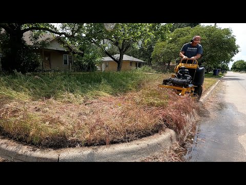 Abandoned House Gets Mowed Once A Year