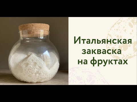 Мастер-класс «Итальянская закваска на фруктах» 13.12.22