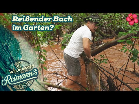 Überflutung und fallende Bäume? Wird der Dauerregen langsam gefährlich? |Willkommen bei den Reimanns