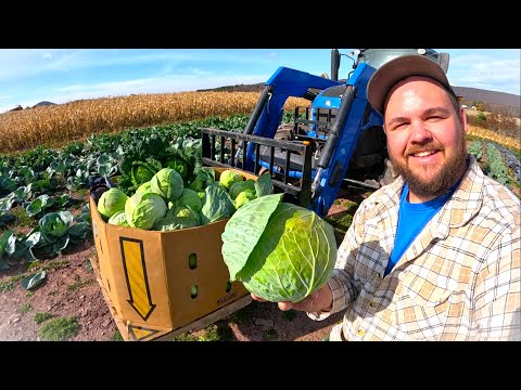 A great day for farming