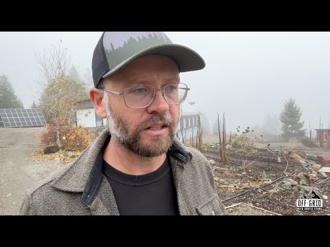 Are you "Noticing" as well?