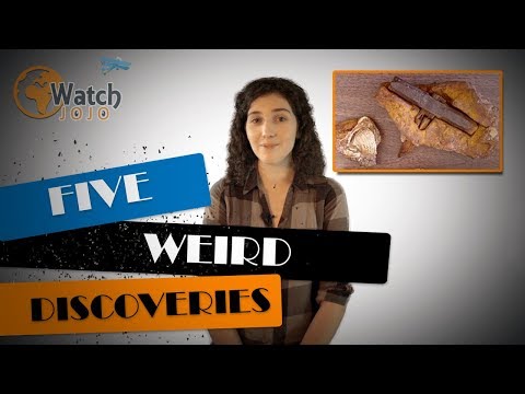 Scientists are puzzled by these discoveries. Can you explain them ?