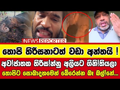 👉අව!ජාතක තිරිස!න්නු අලියට ගිනි!තියලා - තොපිට සොබාදහමෙන් බේරෙන්න බෑ බල්!නේ...