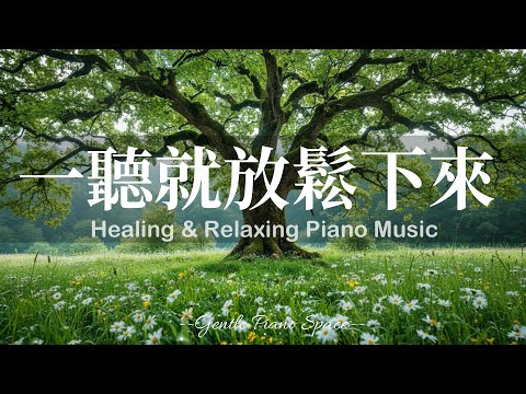 【CALMING PIANO MUSIC】一聽就被溫柔包裹！3小時純淨治癒的放鬆療癒鋼琴音樂，讓煩躁思緒靜止，帶走壓力與負能量，幫助身心恢復平衡。適合睡前、放鬆、閱讀與冥想，陪你走進深層的寧靜與舒適！