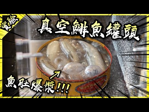 真空鯡魚罐頭!這畫面太美我無法直視…簡直地獄畫面!【胡思亂搞】(Feat. @1129jerry @AJin_Jin @JBao )