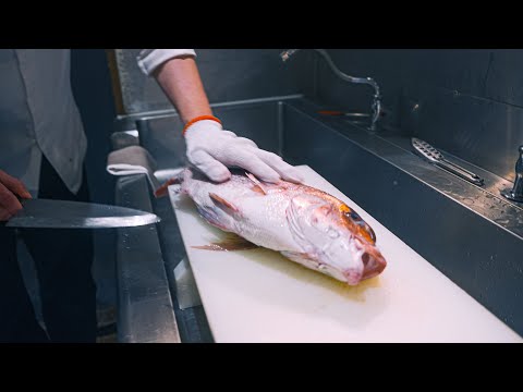 【神業】プロ過ぎて脱帽するしかない活鯛のさばき方！職人技 日本 大阪 鯛専門活魚料理 鯛夢