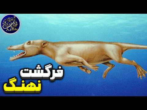 فرگشت نهنگ و نگاهی به گذشته سنگین ترین حیوان زمین