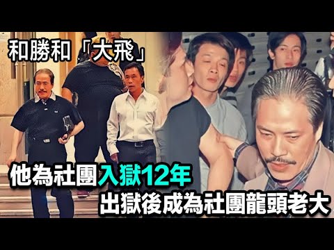 「和勝和」的「金牌經紀人」大飛，他為社團入獄12年，出來後為社團打下半壁江山，成為社團龍頭老大，退休後仍具影響力