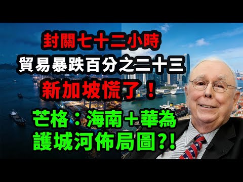 新加坡轉口崩．華為訂單漲．二零二五這盤大棋有多可怕 #海南封關 #華為半導體 #新加坡貿易 #人民幣國際化 #地緣政治投資 #中美博弈 #財富大遷移 #護城河理論 #芒格智慧   #查理芒格