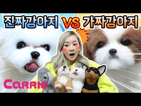 [엘리가 간다] 진짜 강아지 VS 가짜 강아지 | 어떤 강아지가 진짜일까요? WOOL FELT | 엘리앤투어