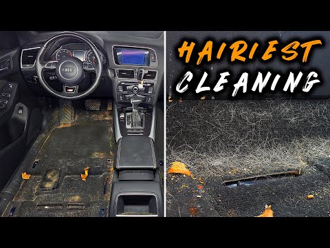 Deep Cleaning the HAIRIEST Car Ever! Interior Detailing ASMR