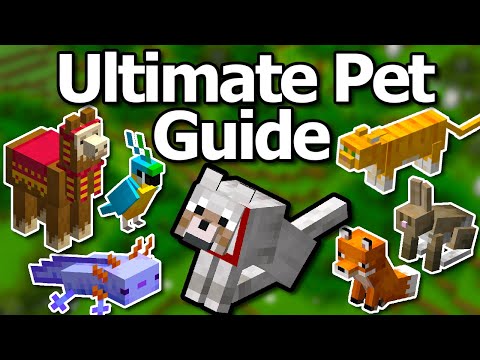 Ultimate Minecraft 1.21 Pet Mob Guide | How To Tame All Mobs Cat Wolf Parrot Llama Fox & More!