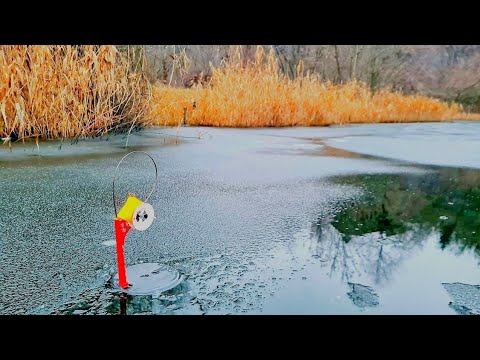 !!!ПЕРШИЙ ЛІД❄️🌨.Жерлиці простояли 2 дні на озері.Що з цього вийшло??