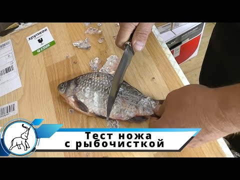 Тест ножа модель С13 с рыбочисткой.