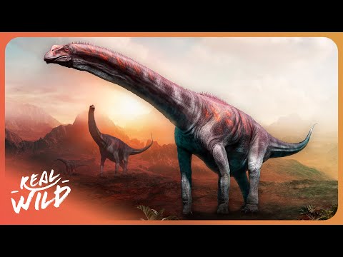 The Most Bizarre Dinosaurs Ever Discovered