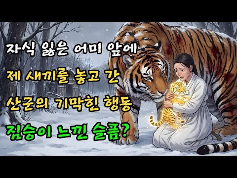 산군(山君)의 기묘한 보은: 죽은 아들 대신 호랑이 새끼를 품에 안게 된 어머니 | 야담 |옛날이야기 |민담 |전설 | 설화