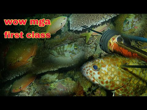 ep489 mga first class na isda ang tumabi sa bagong spot night spearfishing Philippines