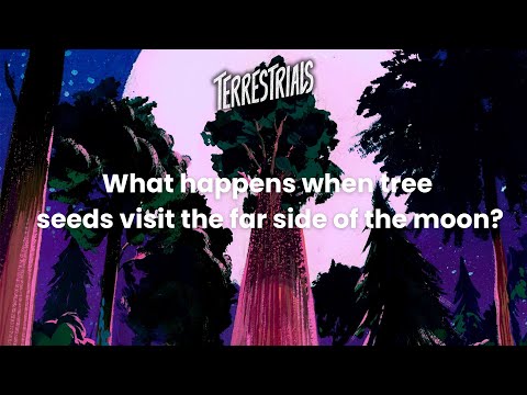 The Travelers: How Moon Trees Hide Among Us | Terrestrials Podcast