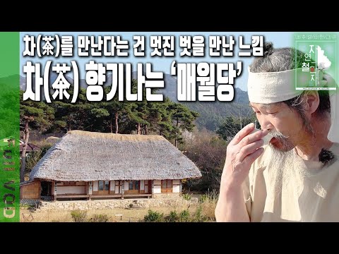 보련산 자락 자연 속에 억새를 엮어 ‘매월당’이라는 집을 짓고 김시습의 차 정신을 실천하며 사는 한 남자 | 자연의 철학자들 53부 오늘 맑고 향기롭게 (KBS 230421 방송)
