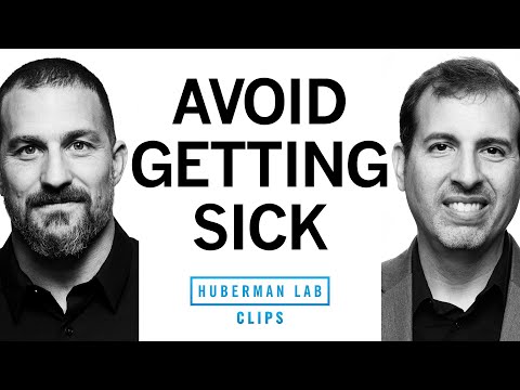 8 Pillars for Building Your Immune System | Dr. Roger Seheult & Dr. Andrew Huberman