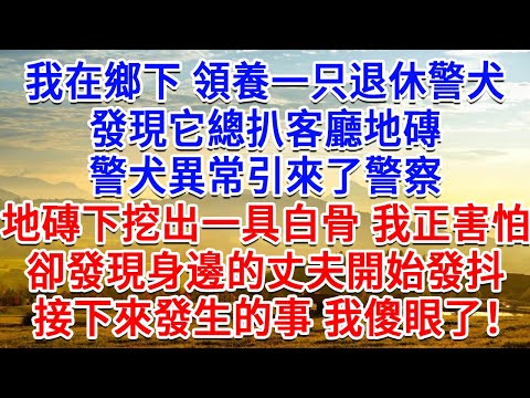 我在鄉下領養一只退休警犬，發現它總扒客廳地磚，警犬異常引來了警察，地磚下挖出一具白骨 我正要害怕，卻發現身邊的丈夫開始發抖，接下來發生的事 我傻眼了！#生活經驗#情感故事#故事#小說#戀愛#情感#婚姻