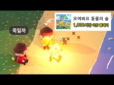 동물의 숲 고인물이 짐승의 숲을 한다면?