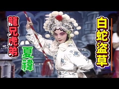 夏褘端午白蛇傳 白蛇盜草救許仙 菲哥要學三十年【龍兄虎弟】精華