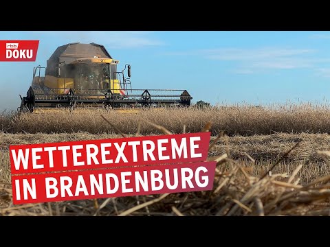 Trockenes Land: Zwischen Dürre und Starkregen | rbb24 Reportage