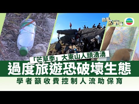 Current affairs multi-faceted | Tai Tung Shan overcrowded during "Mangrove Season", organizations...