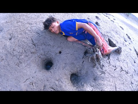 GREAT SKILL, CATCHING A HUGE CRAB IN A HOLE WITH BARE HANDS