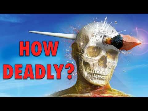 Putting Neanderthal Weapons To The Test