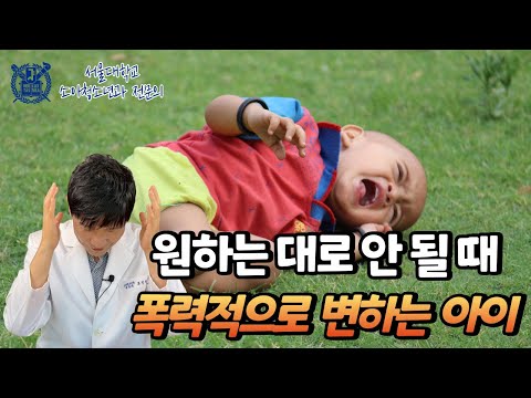 [12개월~24개월] 원하는 대로 안 될 때, 울고불고 머리를 박고 꼬집고 물고 때리고 숨을 참는 분노발작 아이 훈육법과 예방법