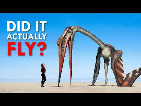 What We Got Wrong About the Biggest Flying Animal