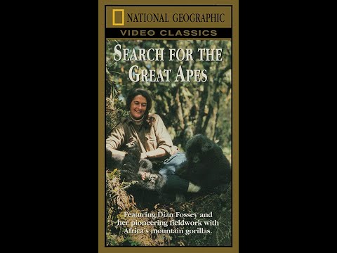 Search for the Great Apes - National Geographic VHS