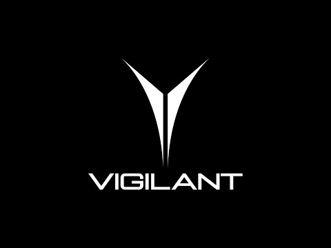 Introducing Vigilant  Insights from CEO Ellie