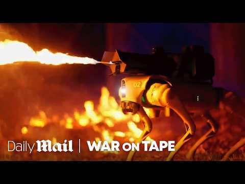 Ukraine Is Using Robot Attack Dogs Against Russia | War on Tape | Daily Mail