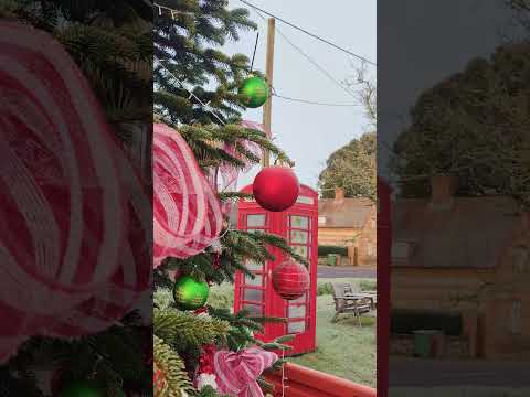 Winter days in the village ❄️