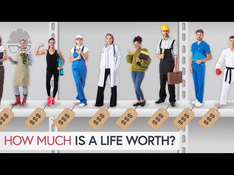 How Much Is a Human Worth? (according to engineers)