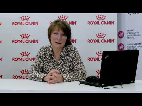 Морально-этические проблемы в питомнике.