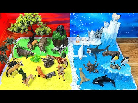 DIY Polar & Safari Animal Diorama | Learn Wild Animal Names for Preschool Kids