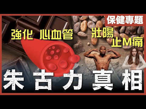 [不是陰謀論]好味又有益｜古代聖物如何改善心血管、抗抑鬱、防癌？｜可可百分比、份量如何進食才有最大效益？｜粵語中字