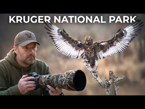Wildlife Photography Hides A Chaotic Reality (Kruger National Park BTS)