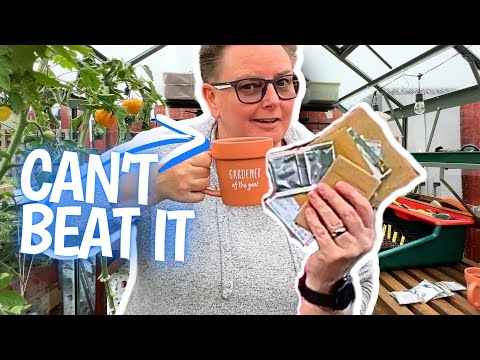 Winter: My Favorite Seeds to Sow (& More)