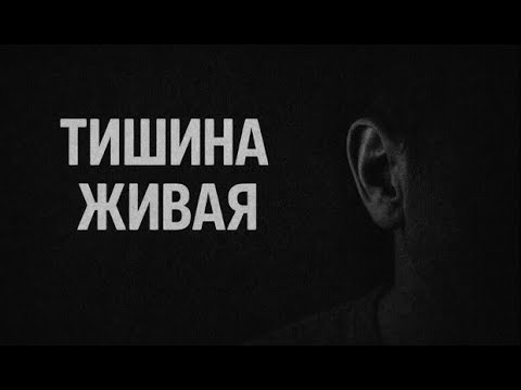 Тишина живая…Страшные. Мистические. Творческие истории. Хоррор